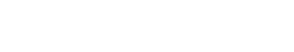 Google Cloud Partner Logo