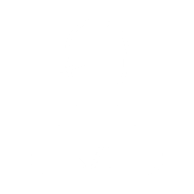 Lines of code scanned​